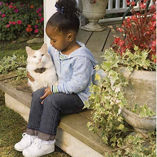 In-Ground Cat Fence Receiver Collar A197