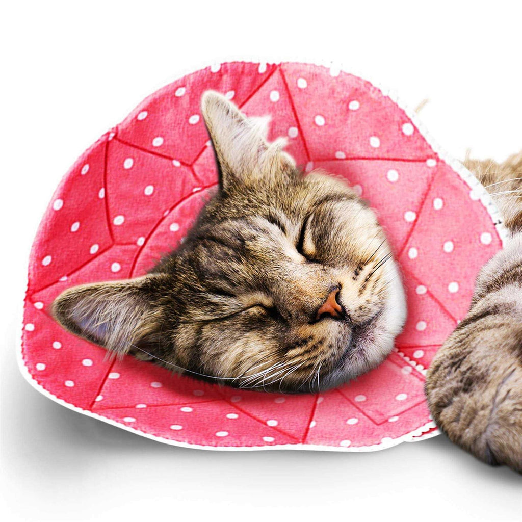 Soft e Collar for Small Dogs & Cats O324