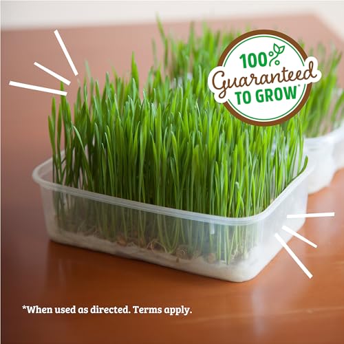 100% Organic 5-Part Salad Seeds 1 Pound Non-GMO W546