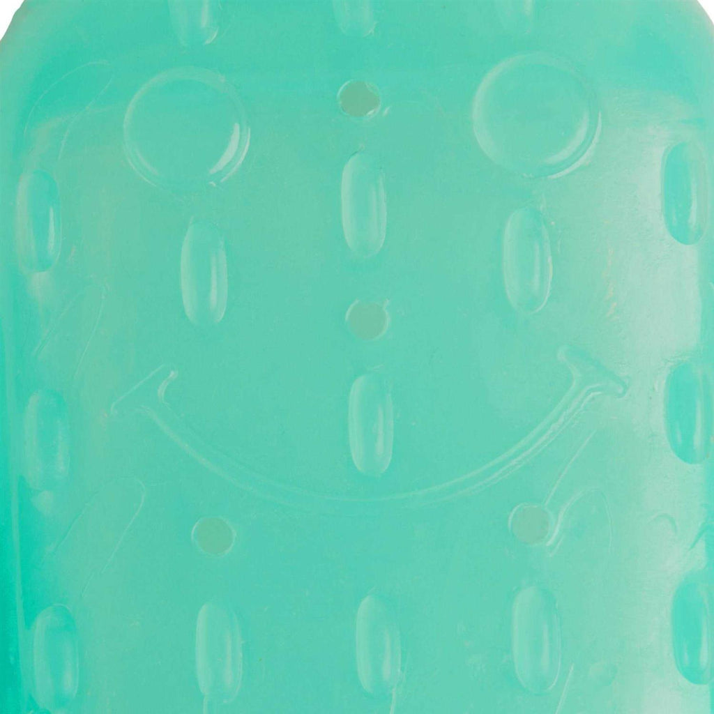 Cactus Chew Ring Dog Toy P77904