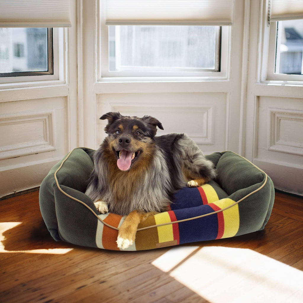 X-Large Pet Bed N92527