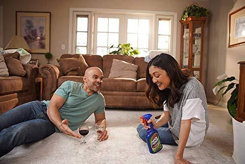 Instant Carpet Stain & Odor Eliminator 22 oz (Pack of 6) C976164