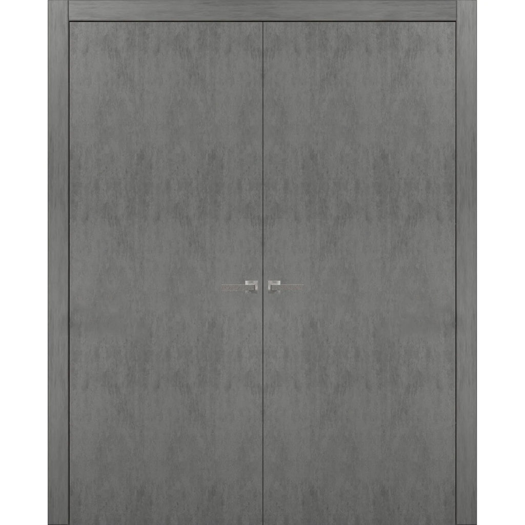 Solid French Double Doors with Wood Solid Panel Frame Trims W875222