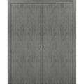 Solid French Double Doors with Wood Solid Panel Frame Trims W875222