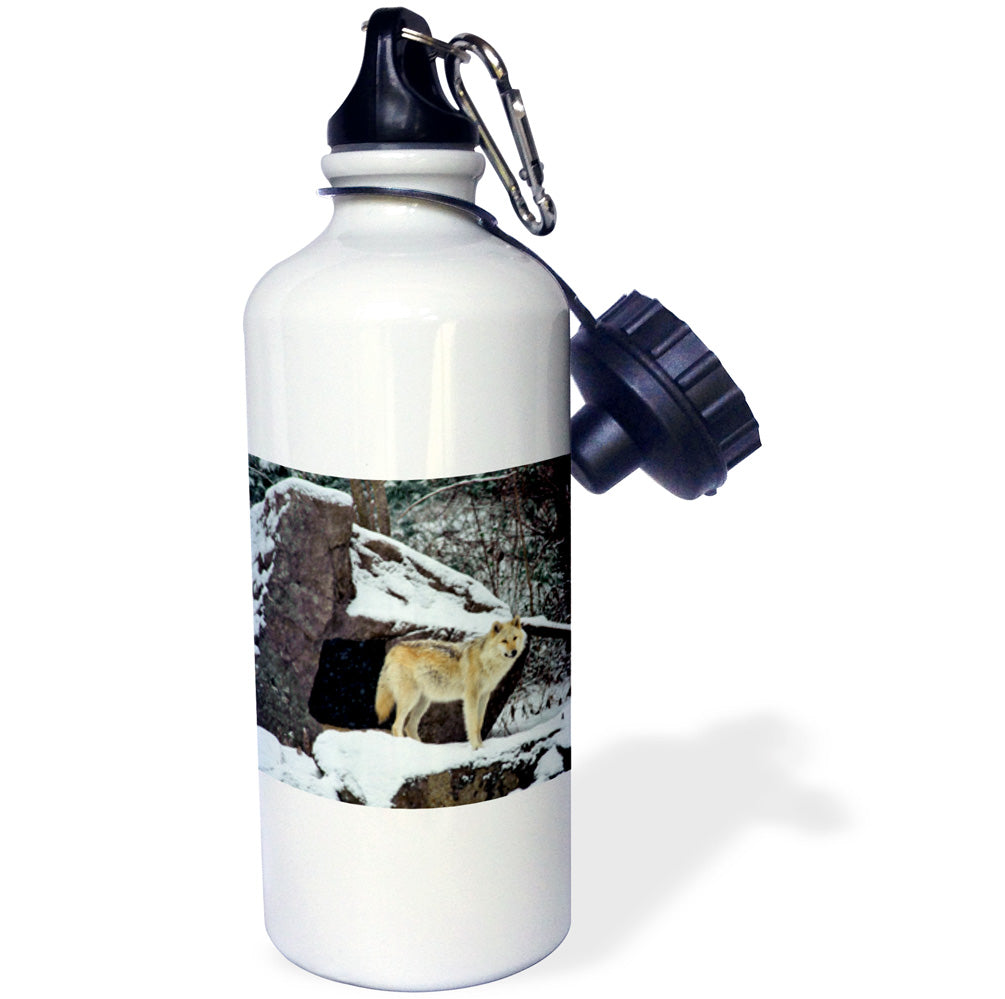 21oz Sports Water Bottle N27751