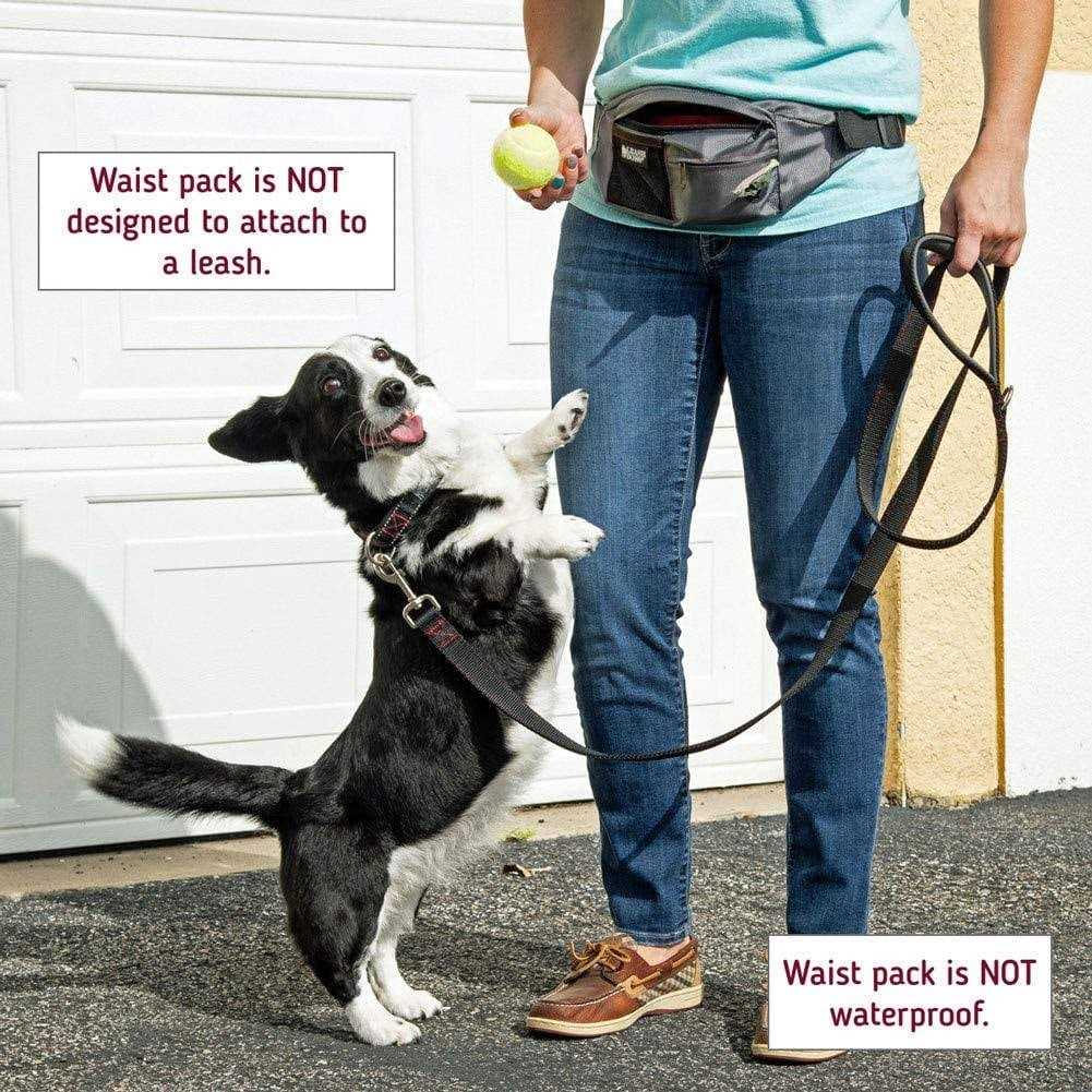 Dog Treat Training Pouch with Waste Bag Dispenser Z7391