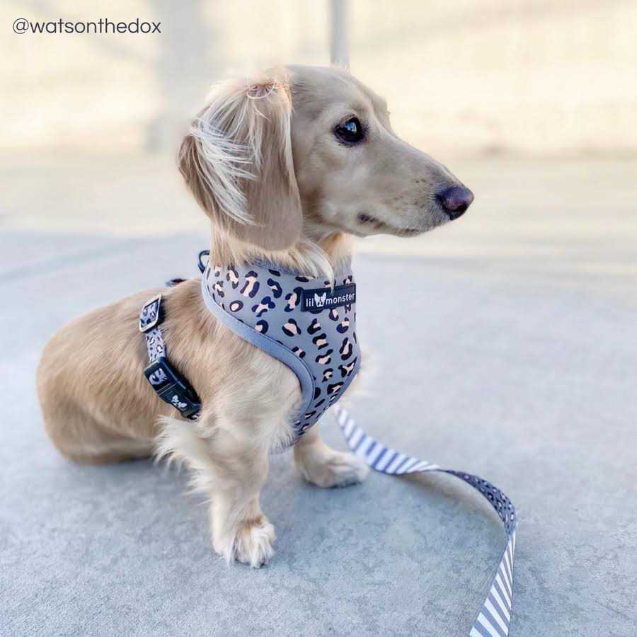 Reversible Dog Harness Q276
