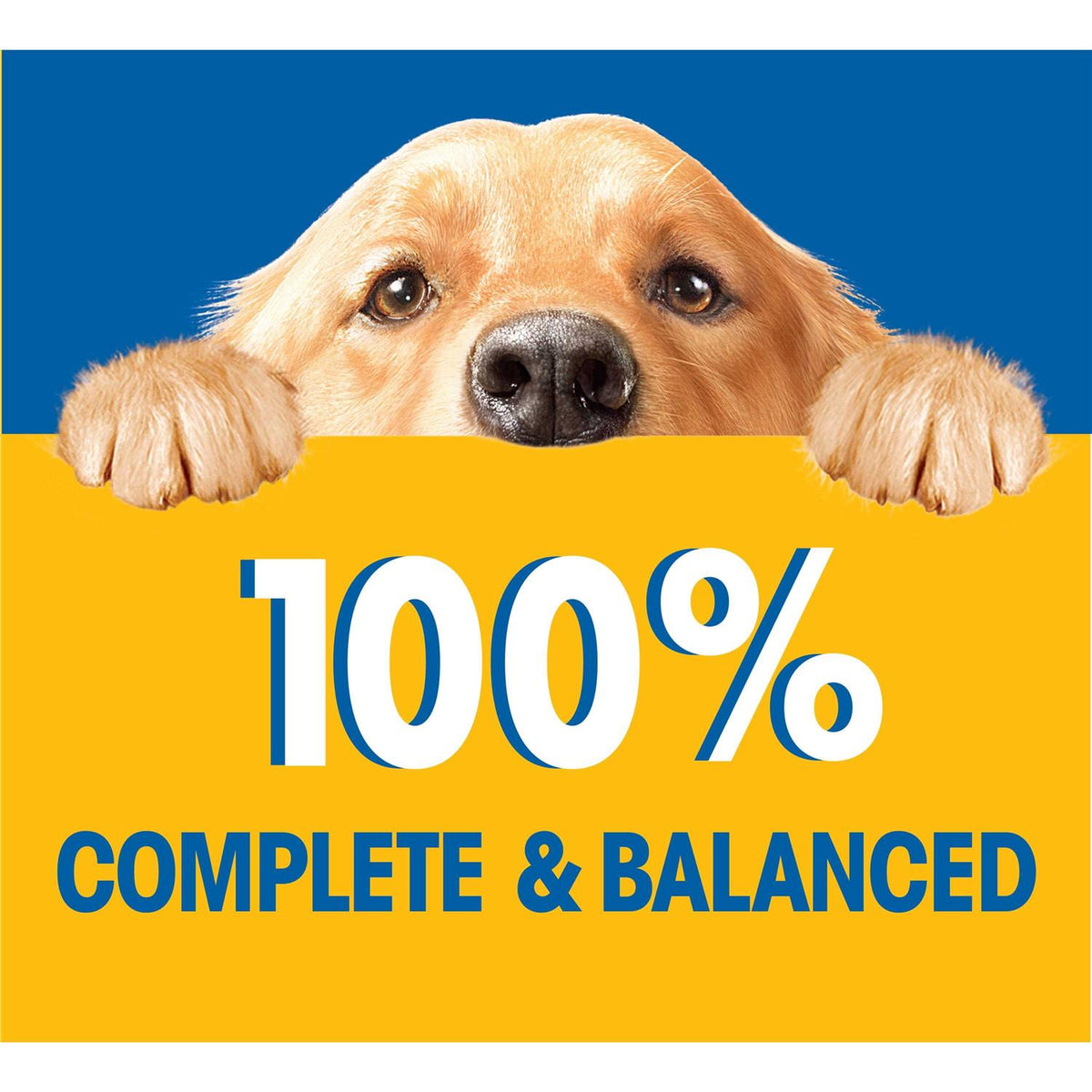 Chopped Ground Wet Dog Food O602268