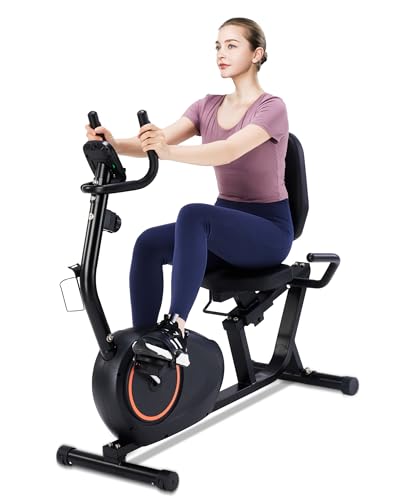 Recumbent Exercise Bike with 400LB Weight Capacity, Pulse Sensor, 16-level Resistance, LCD Monitor V6533