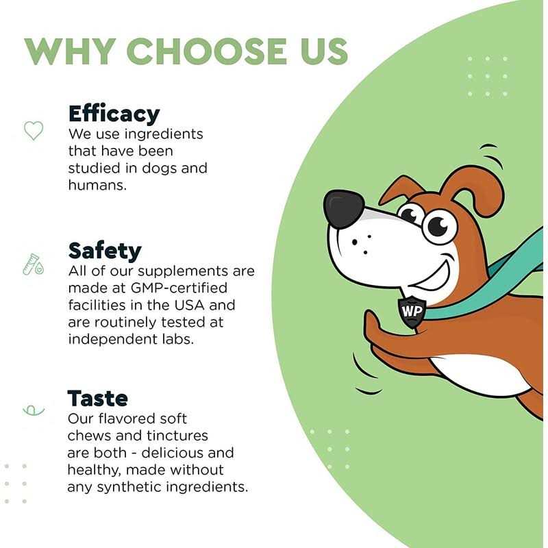 Milk Thistle Liver Support for Dogs Y54208