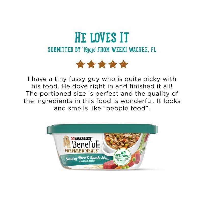 Savory Rice & Lamb Stew Wet Dog Food Y75317