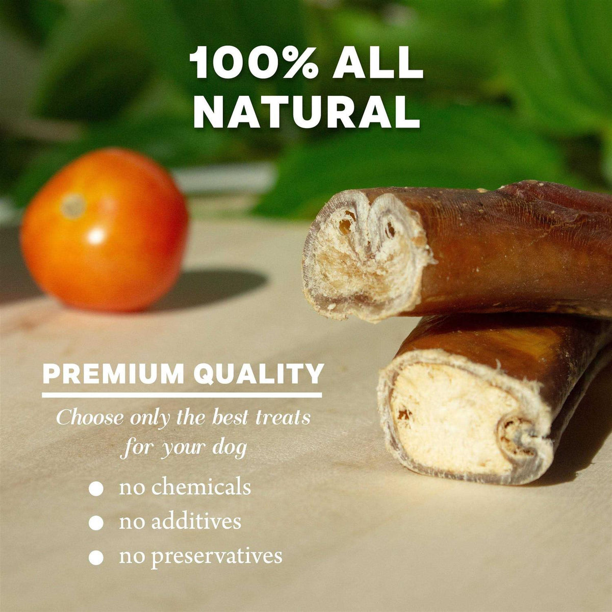 Thick Rawhide Free Dog Chews Y894145