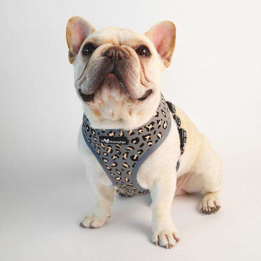 Reversible Dog Harness Q276
