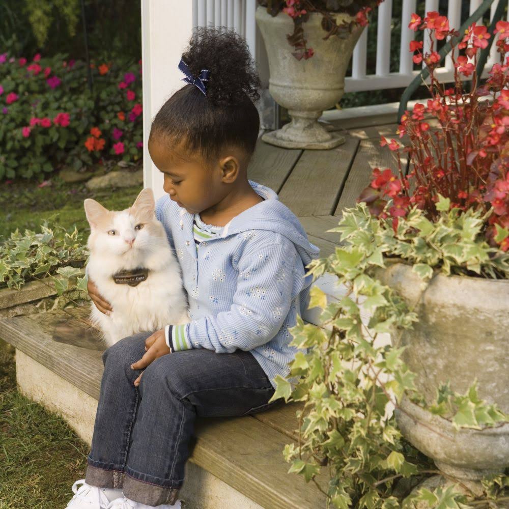 In-Ground Cat Fence Receiver Collar A197