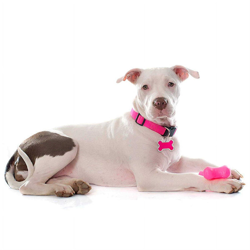 Personalized Dog ID Tag B225