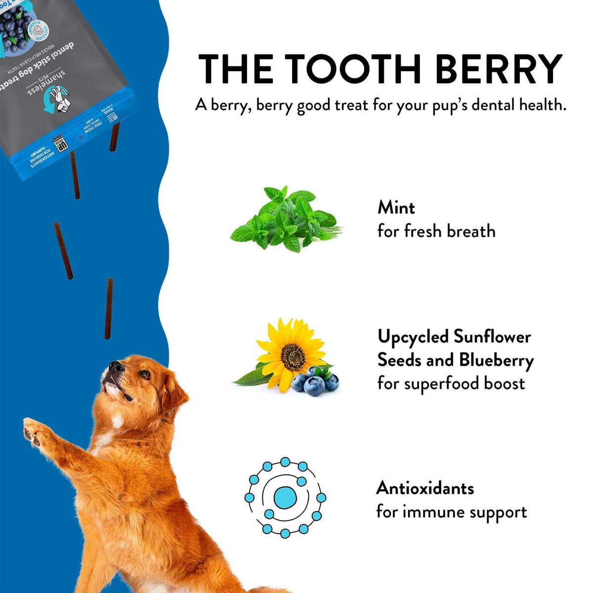 Dental Stick Dog Treats A84026