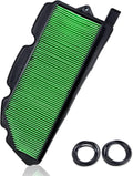 Air Filter Pack of 2 V134543