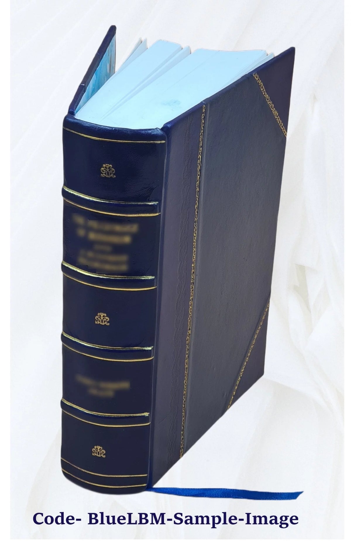 Leather Bound Book H495593