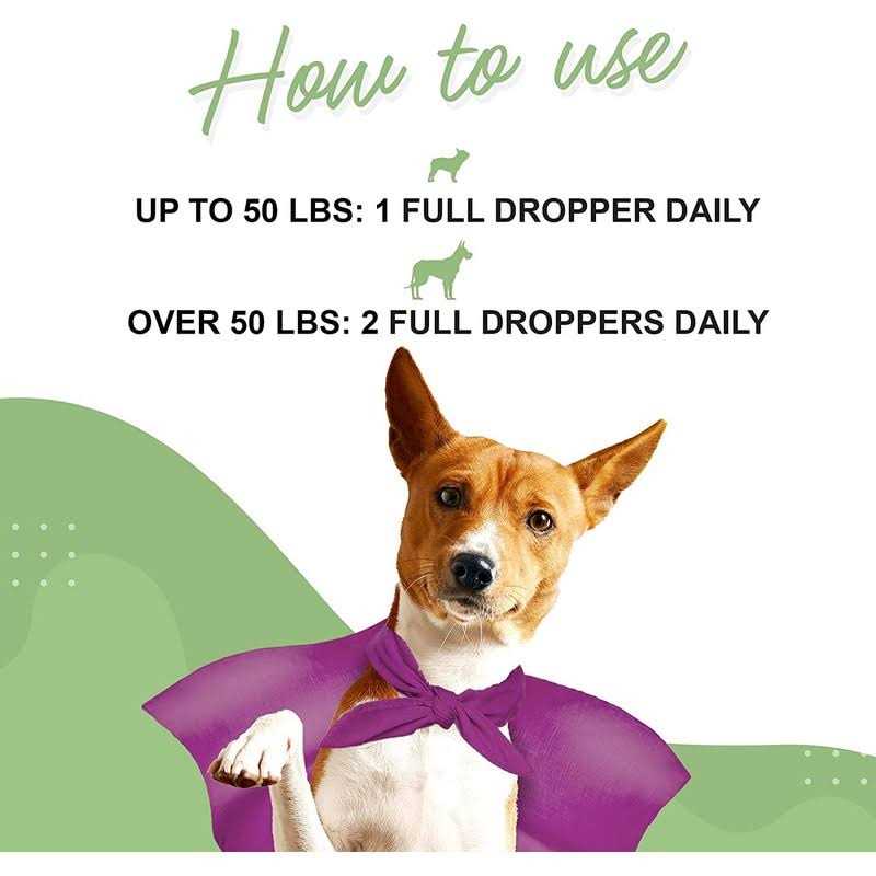 Milk Thistle Liver Support for Dogs Y54208