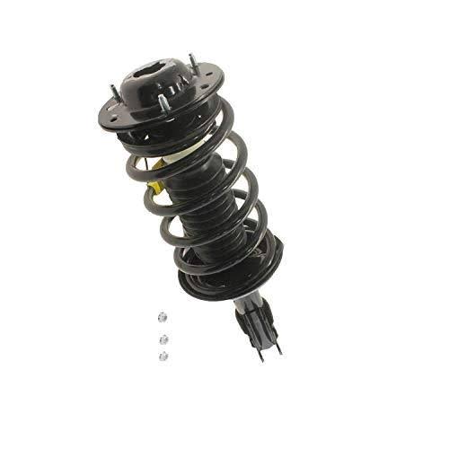 Strut-Plus Assembly M112