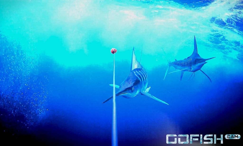 Black Wireless Underwater Fishing Camera N430