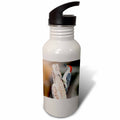 21 oz Sports Water Bottle N76313
