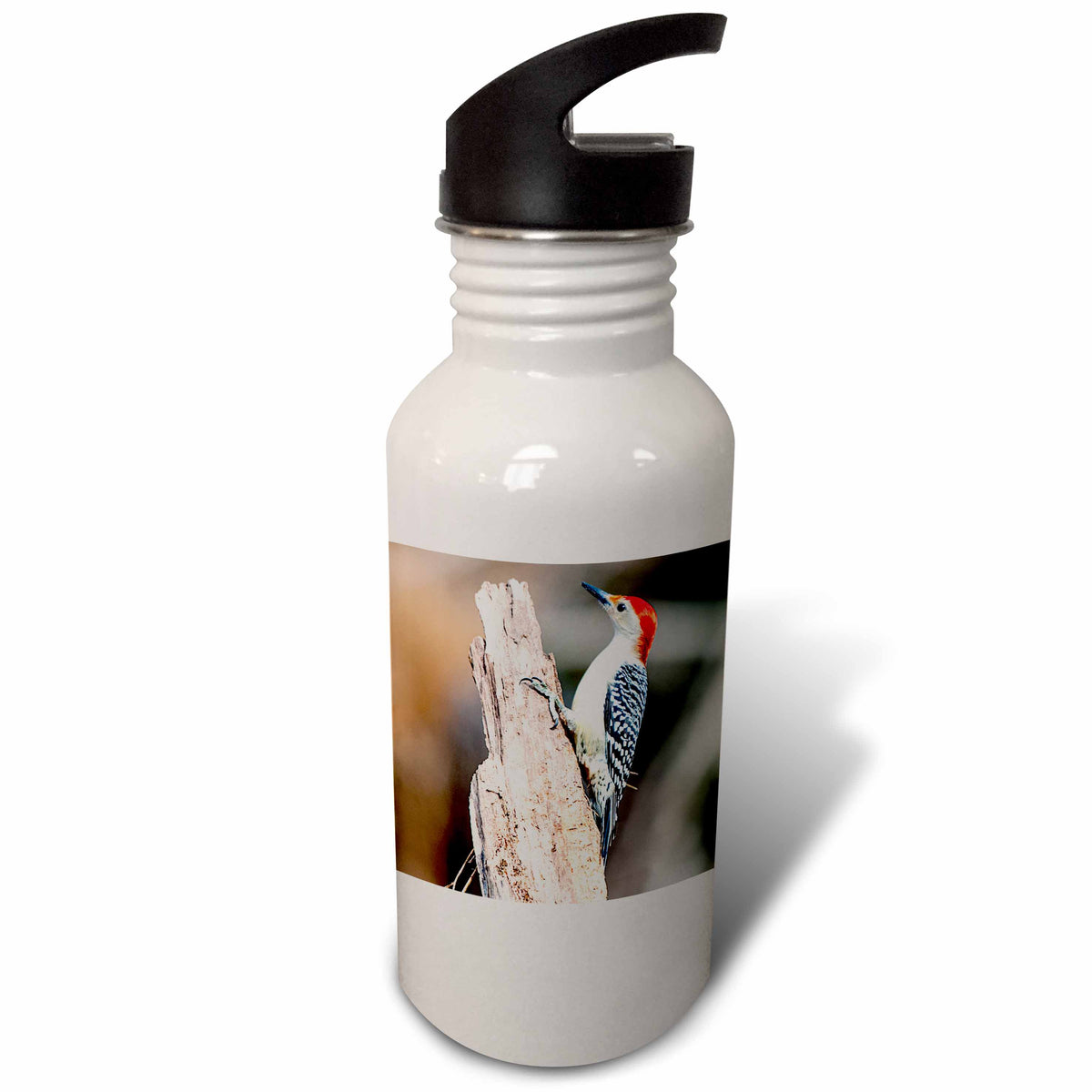 21 oz Sports Water Bottle N76313