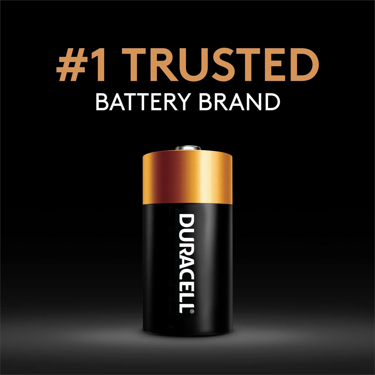 Alkaline Battery 1.5V D Pack of 2 C6203