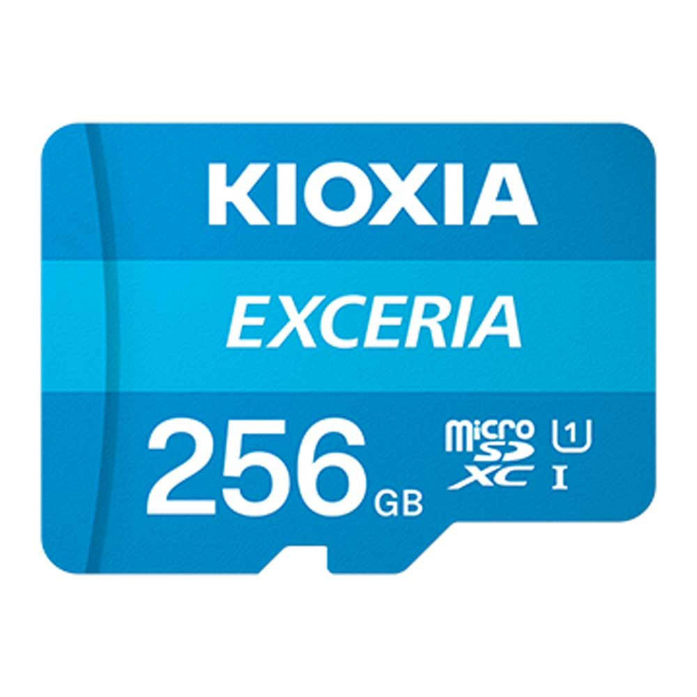 256GB Exceria microSD Memory Card UHS-I Class 10 G293008