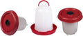 Red Chicken Drinker 10 L. with Plung A37440