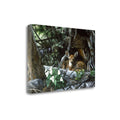 Fine Art Giclee Print on Wrap Canvas B775