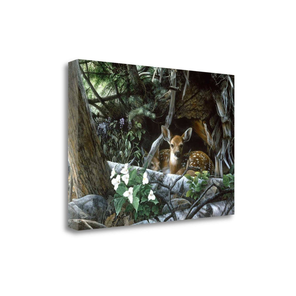 Fine Art Giclee Print on Wrap Canvas B775