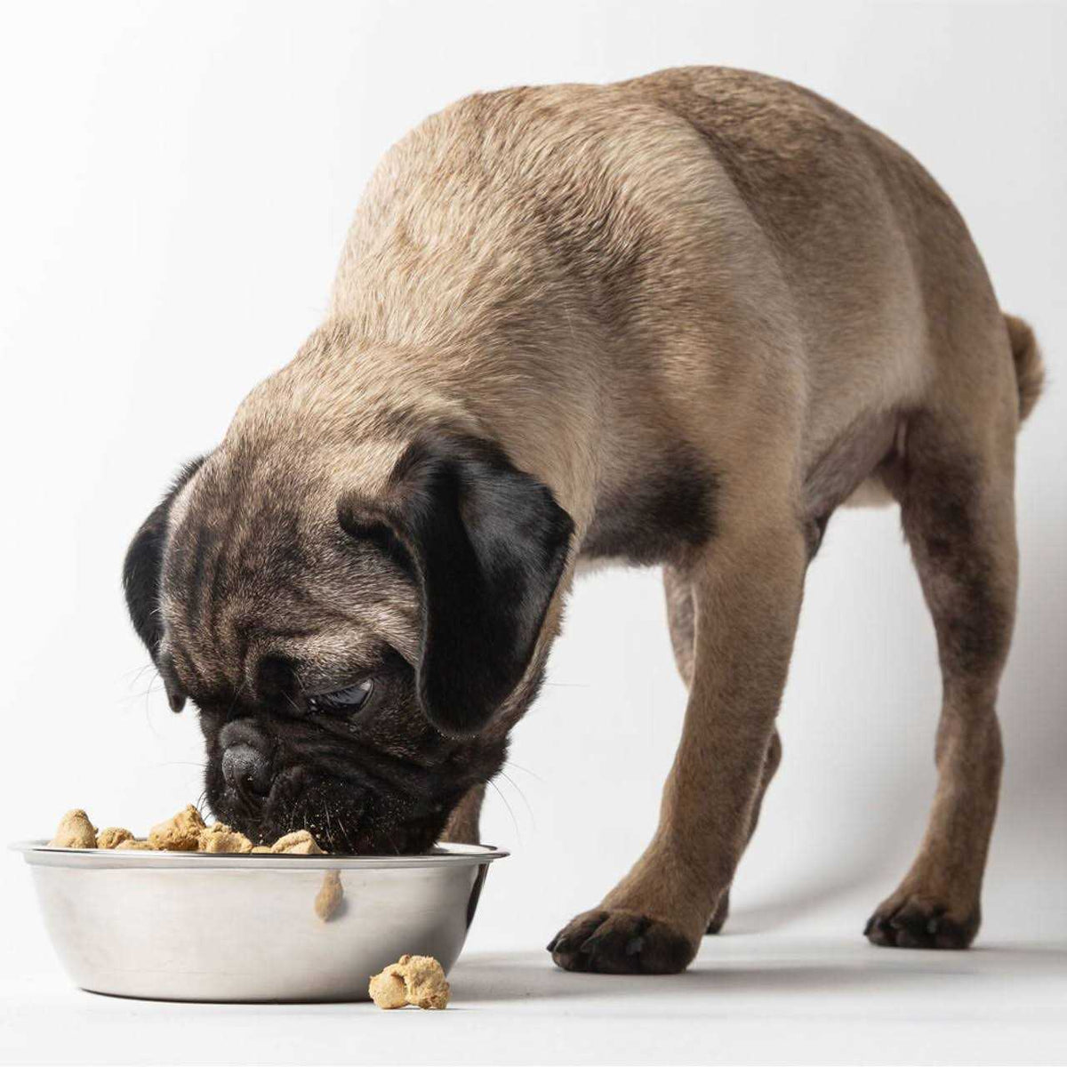 Freeze-Dried Dog Food U8862