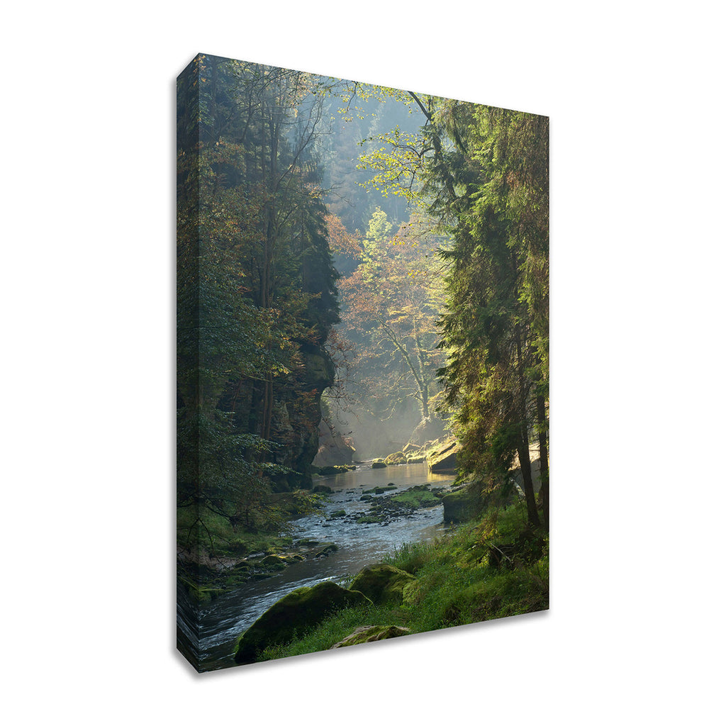 Framed Photograph Print C468