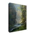 Framed Photograph Print C468