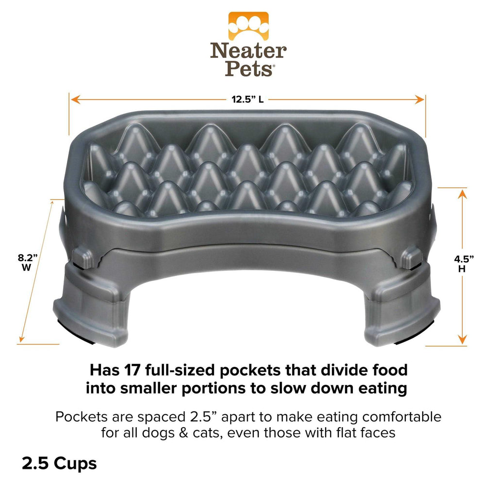 Raised Slow Feeder Dog Bowl G43140