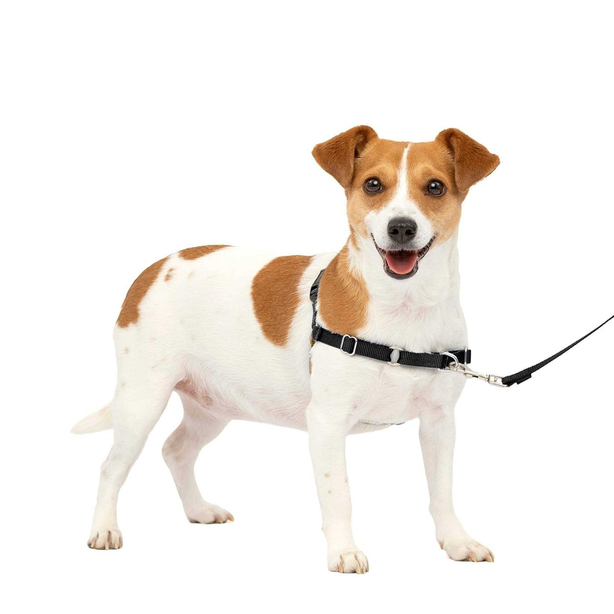 Dog Harness F332234