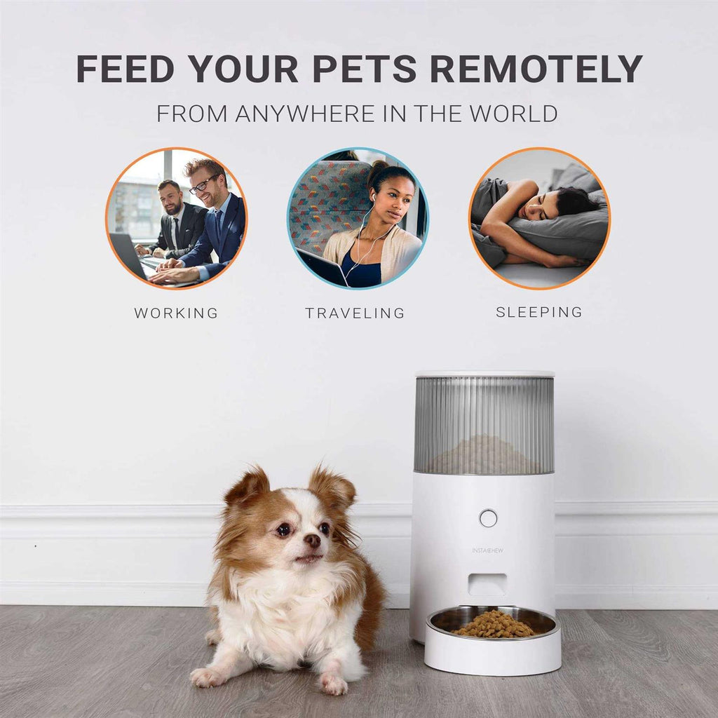 Automatic Pet Feeder J43227