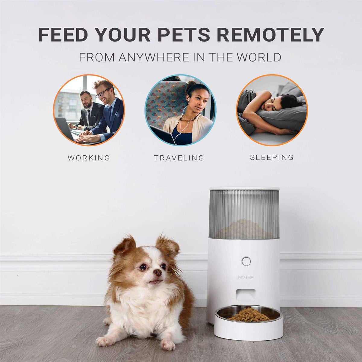 Automatic Pet Feeder J43227