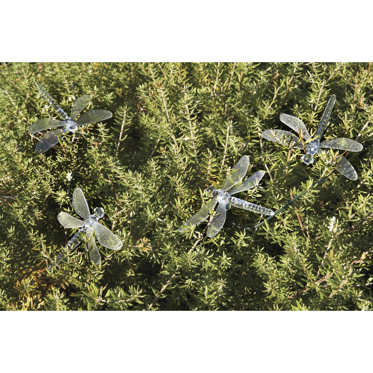 Solar Dragonfly LED String Lights 10-Piece I854