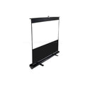 Portable Projection Screen V8341