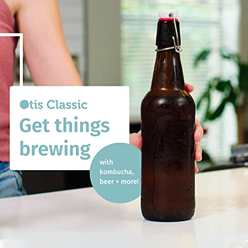Swing Top Glass Bottles Set of 6, 16oz Clear with Caps T594