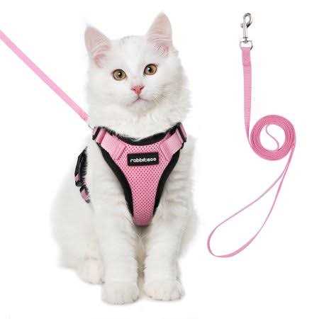 Cat Harness and Leash F196