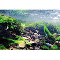 Reversible Aquarium Background Y8746