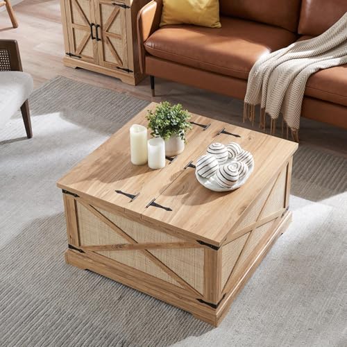 Square Wood Coffee Table with Storage U2081
