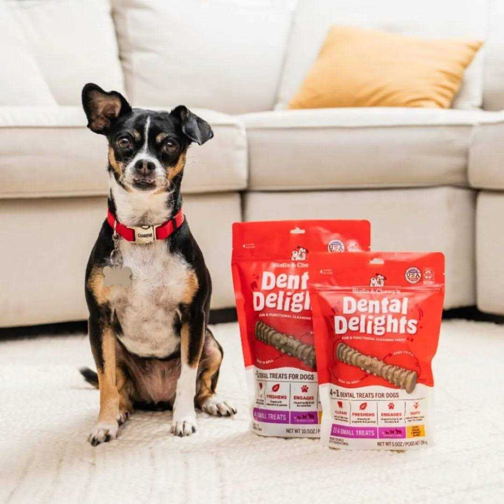 Dog Treats W88982