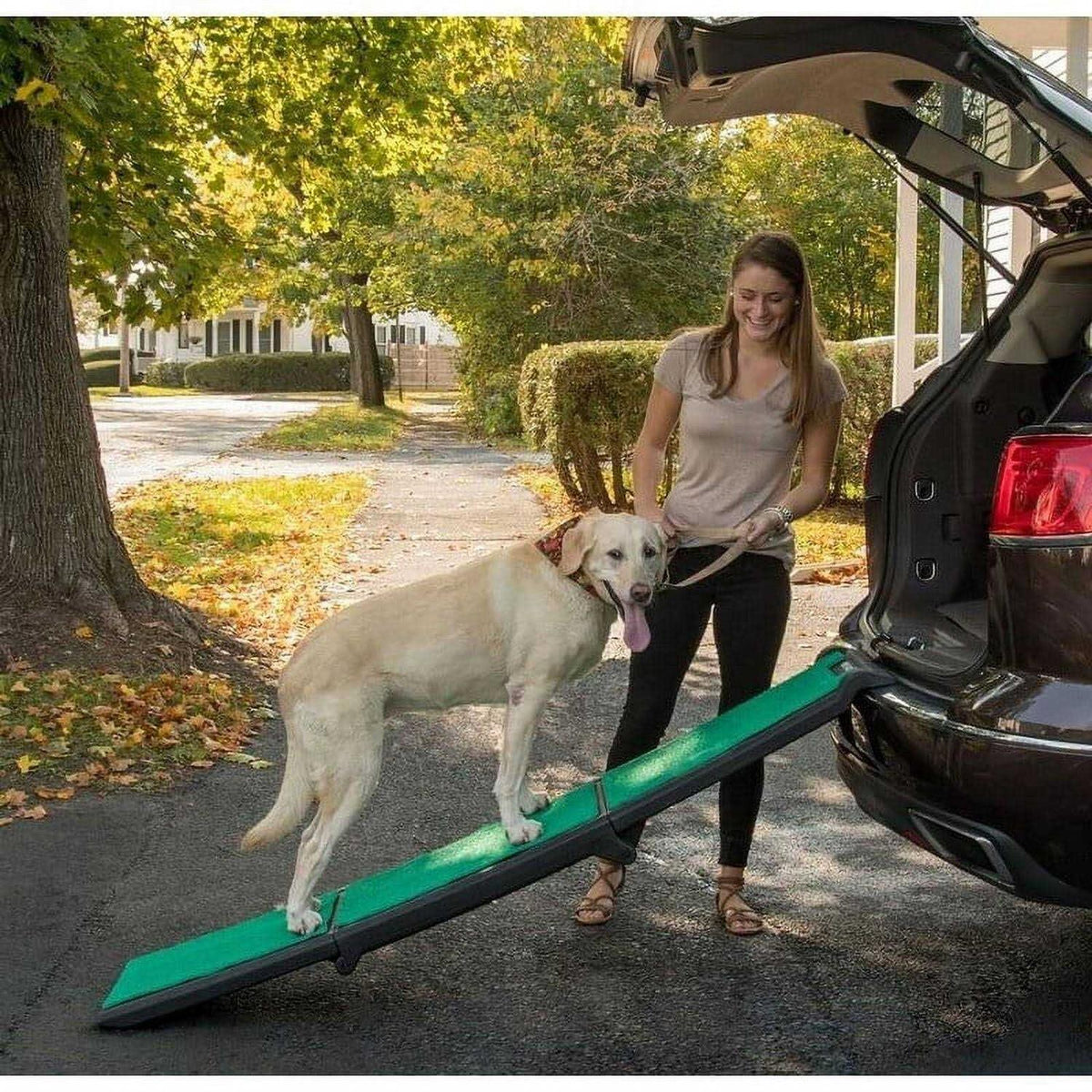 Bi-Fold Pet Ramp S252882