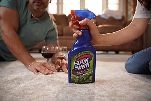 Instant Carpet Stain & Odor Eliminator 22 oz (Pack of 6) C976164