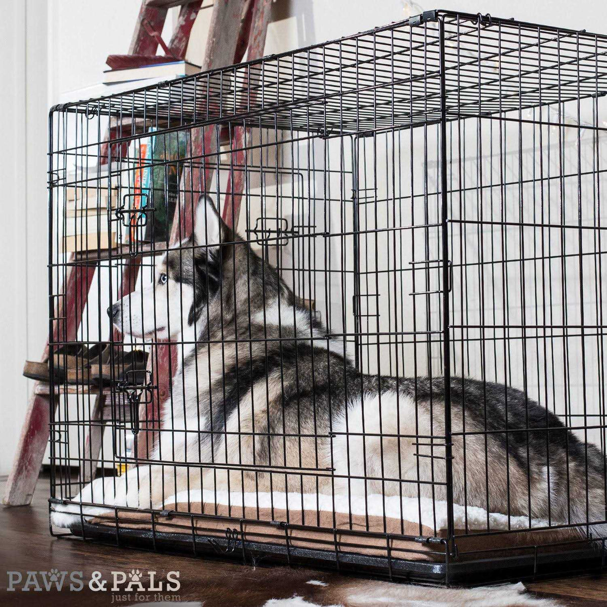 Double-Door Folding Wire Dog Crate J799