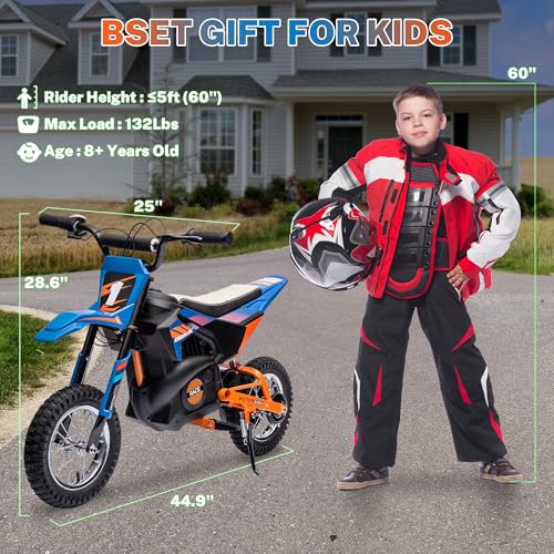24V 250W Kids Electric Dirt Bike with Air-Filled Tires X441